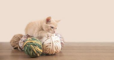 Portrait of cute baby kitten biting and playing with balls of wool on wooden table against pink background photo