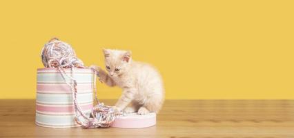 Portrait of cute baby kitten next to a pink box with balls of wool biting and messing up the wool