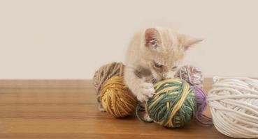 retrato de un lindo gatito mordiendo y jugando con bolas de lana en una mesa de madera con fondo rosa foto