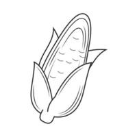 corn sketch icon vector