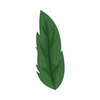 icono de hoja de naturaleza vector