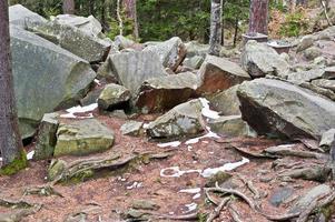 Dovbush rocks in green forest at Carpathian mountains. photo