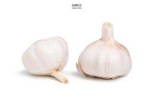 Garlic isolated on white background. Cooking spices photo