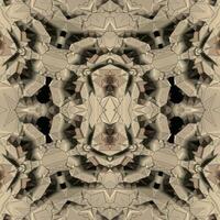 Concrete 3D ornamental pattern high quality design photo