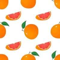 Seamless pattern with fresh bright exotic whole and cut slice grapefruit isolated on white background. Summer fruits for healthy lifestyle. Organic fruit. Vector illustration for any design.