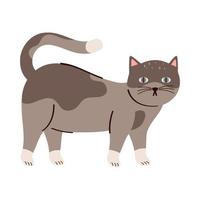 lindo gato mascota gris vector