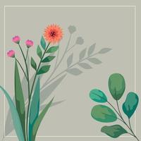 red flowers in square frame vector