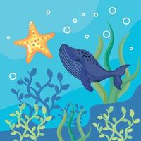 whale and starfish vector