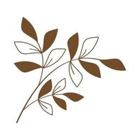 leaves in branch vector
