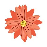 orange flower garden decoration vector