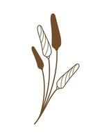 ecology nature plant vector