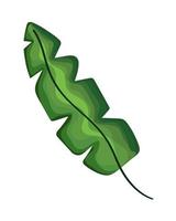 green leaf palm vector