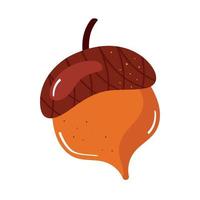 acorn autumn season vector