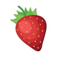 fresh strawberry fruit vector