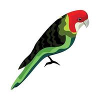 exotic parrot bird vector