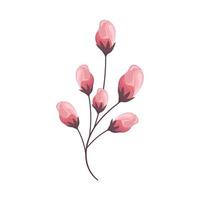 branch with pink flowers vector