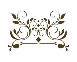 elegant ornament decoration vector