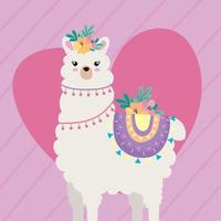 sweet llama with heart vector