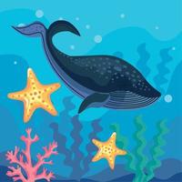 whale with starfishes undersea vector