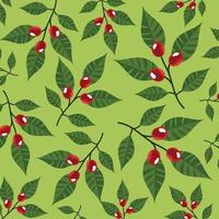 coffee plants and grains pattern vector