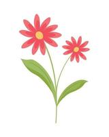 red flowers plant decoration vector