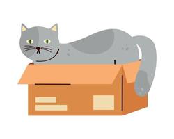 cute cat in box vector