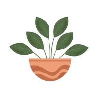 houseplant in ceramic pot vector