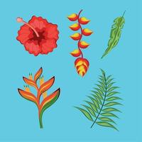 exotic flowers and leafs vector