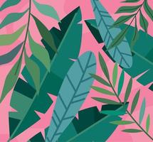 jungle leafs palms pattern vector