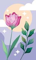 beauty spring season rose vector