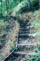 hiking trail with stairs in the forest photo