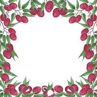 Frame with bright pink round lychee berries on a branch with green leaves on a white background. Watercolor illustration. Template with place for text for invitations and greeting cards. photo