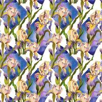 Bright hand-painted watercolor flowers of Iris. Seamless pattern. Idea for decoration and design. photo