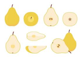 Yellow pear food whole, cut half, piece, part and slice chopped of fruit. Harvest ripe fruit. Popular healthy garden food pear. Vector flat illustration
