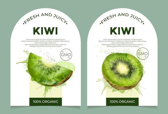 Set of 2 labels, packaging of fresh and juicy kiwi fruit. Natural organic product, gmo free. Text with watercolor realistic fruit on white base. Template for your product.