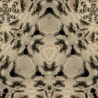 Concrete 3D ornamental pattern high quality design photo