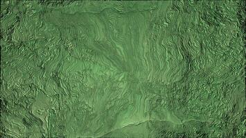 Green texture details high quality photo