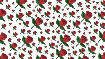 background image is red rose and white background photo