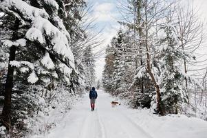 Lonely tourist  with dog walking at road of snow forest. photo