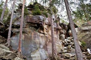 rocas dovbush en el bosque verde en las montañas de los cárpatos. foto