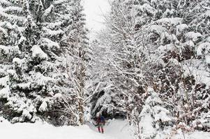 Man at pine trees covered by snow at Carpathian mountains. Beautiful winter landscapes. Frost nature. photo