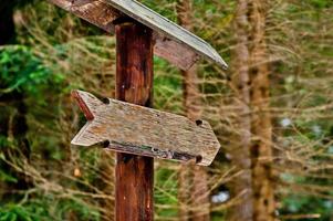 flecha de madera en el bosque verde en el bosque de los Cárpatos. foto