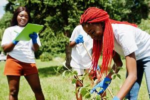 Group of happy african volunteers planting tree in park. Africa volunteering, charity, people and ecology concept. photo