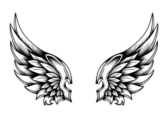Wings Vector Art, Icons, and Graphics for Free Download