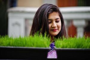 Indian hindu girl at traditional violet saree posed at  street against green grass on pots. Eco concept. photo