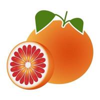 color plano de pomelo y pomelo en rodajas para aplicaciones y sitios web vector