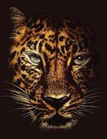 Leopard jaguar poster vector