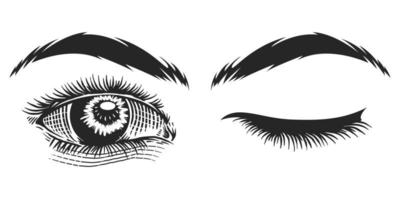 Vintage illustration of human eyes vector