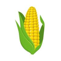 mazorca de maíz fresco aislado sobre fondo blanco. icono de maíz para el mercado, diseño de recetas. alimentos orgánicos. estilo de dibujos animados ilustración vectorial para el diseño. vector
