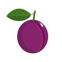 Plum with stem and leaf isolated on white background. Organic fruit. Cartoon style. Vector illustration for any design.